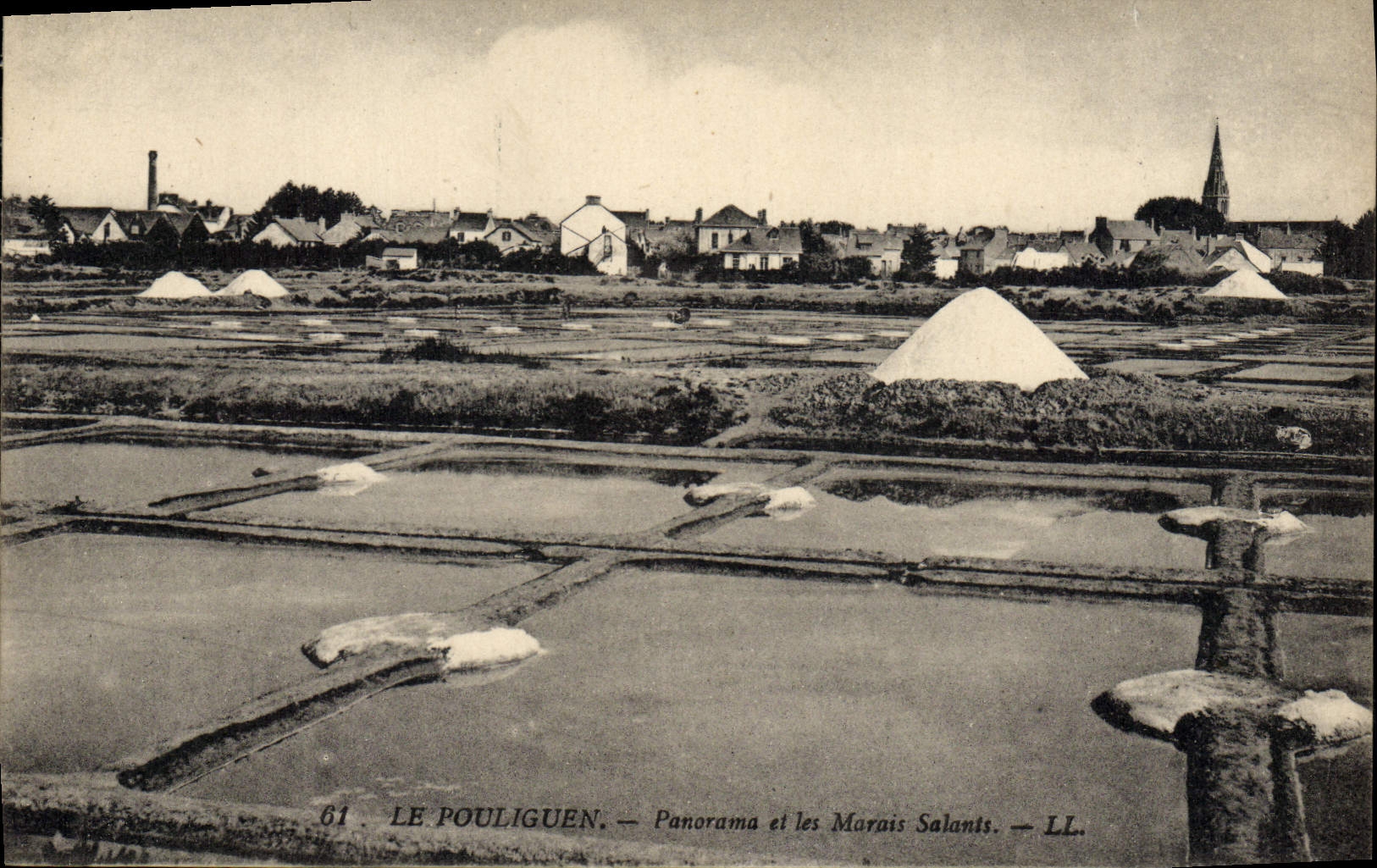 CPA Le Pouliguen Panorama et les Marais salants