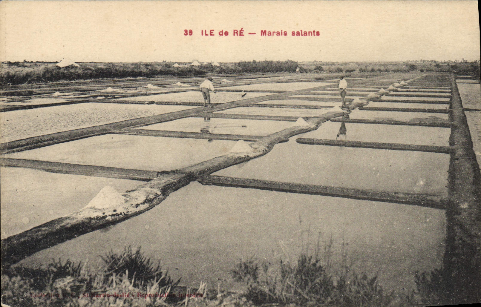 VINTAGE POSTCARD salt-water Marshes Ile de Ré