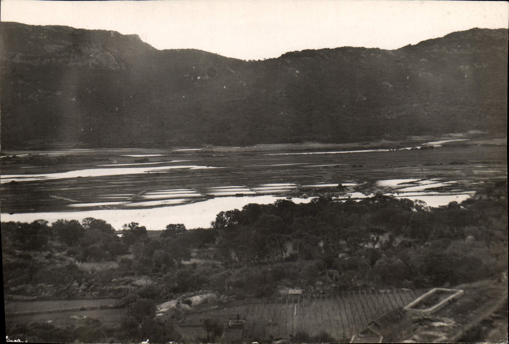 Pantanos Oporto Vecchio Córcega del agua salada de la POSTAL de la VENDIMIA