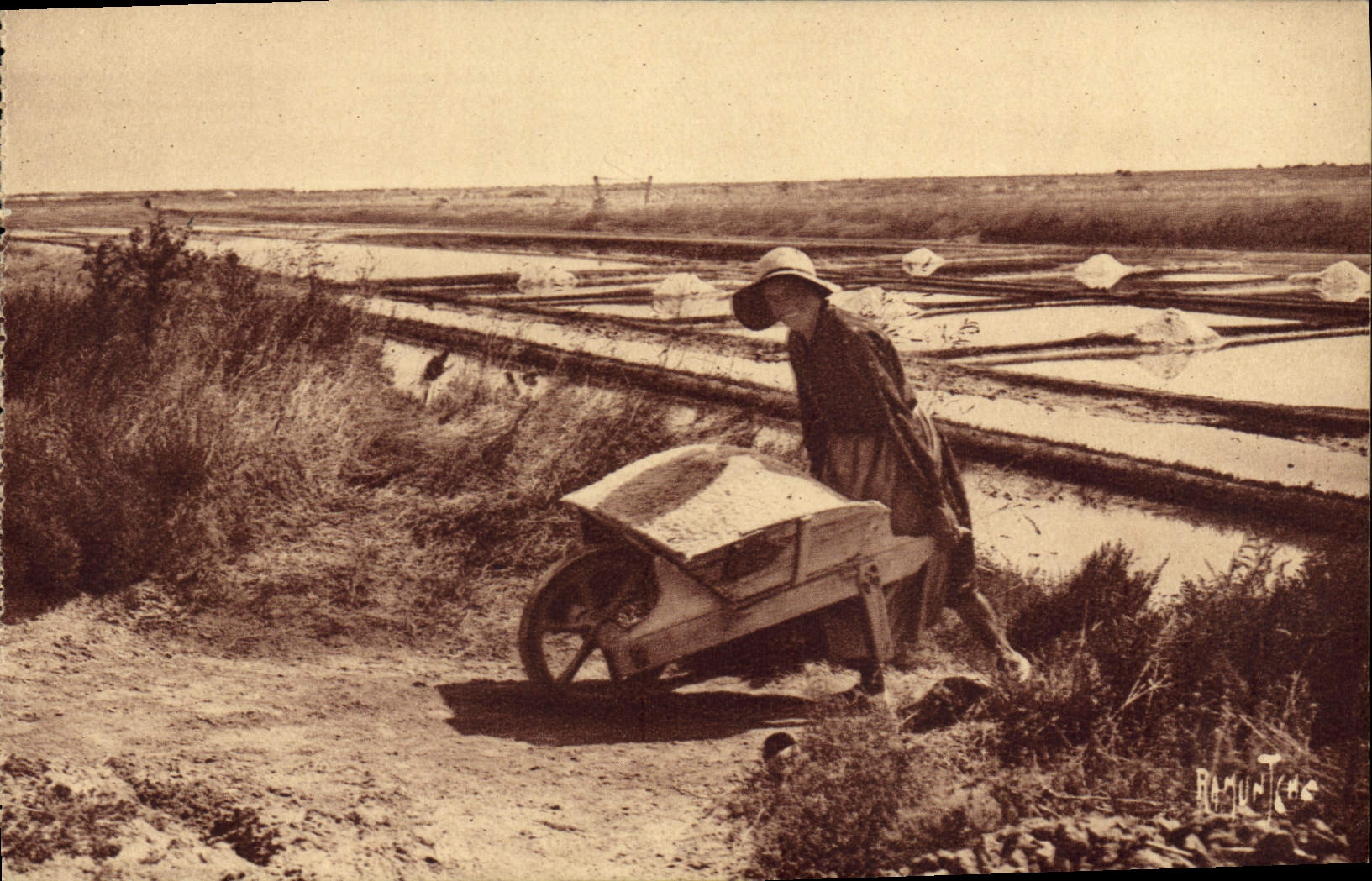 VINTAGE POSTCARD salt-water Marshes Island of Noirnmoutier
