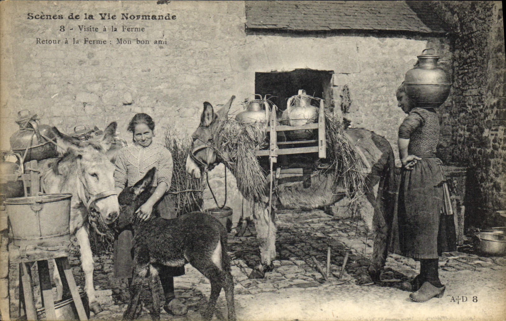VINTAGE POSTCARD Folklore Visits with the firm Ass Mule TOP