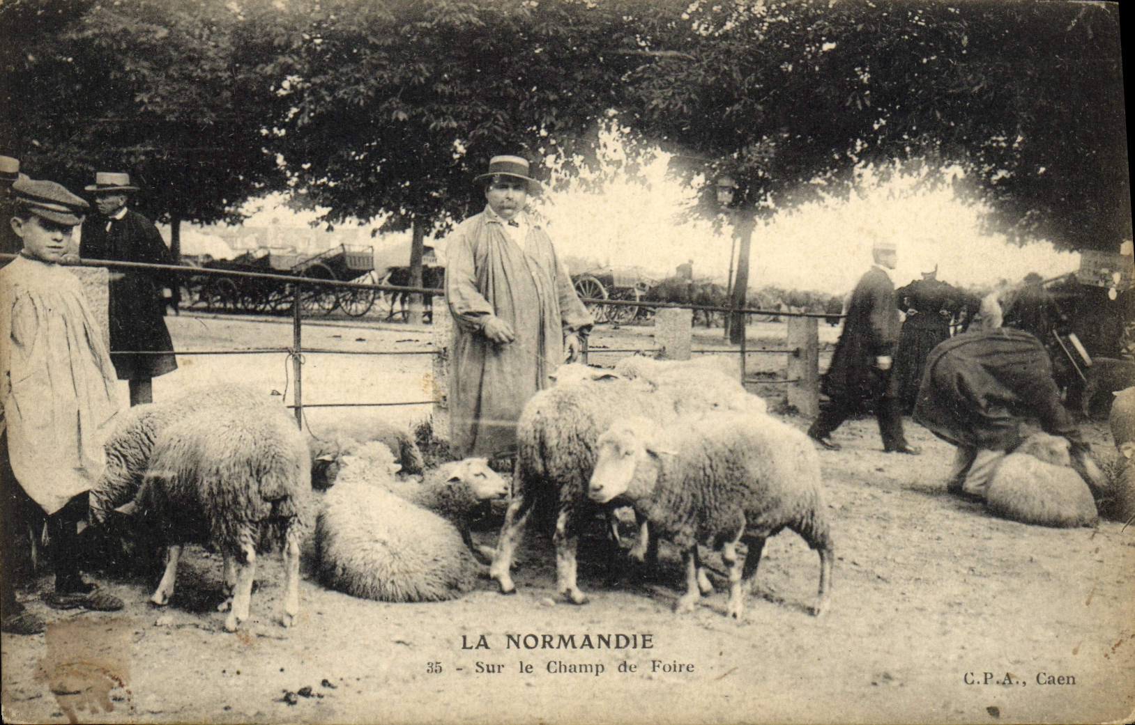 CPA Folklore Normandie Sur le champ de foire Moutons