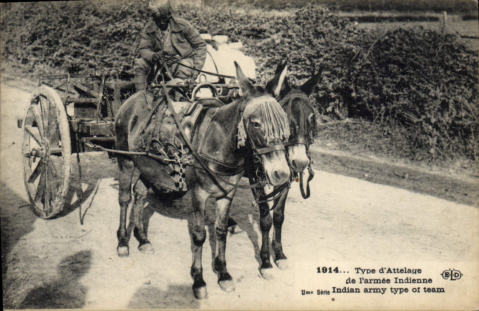 VINTAGE POSTCARD Standard Militaria of coach of the Indian army Ass Mule