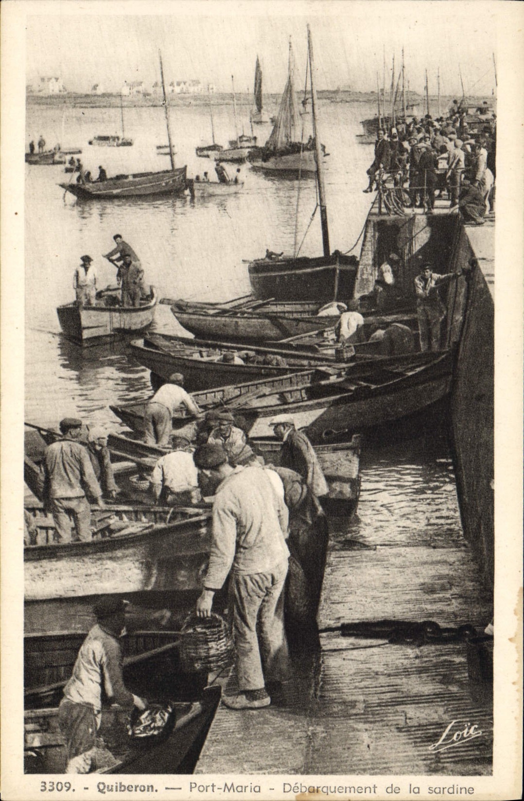 CPA Poisson Poissons Quiberon Port Maria Debarquement de la sardine Peche