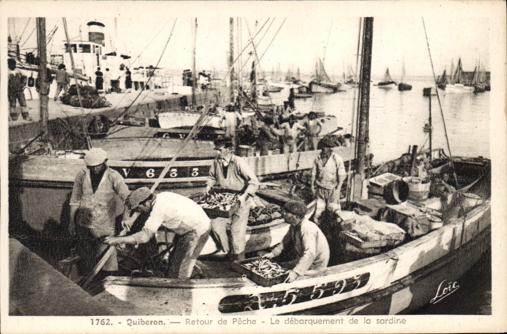 CPA Poisson Poissons Quiberon Retour de peche Le debarquement de la sardine