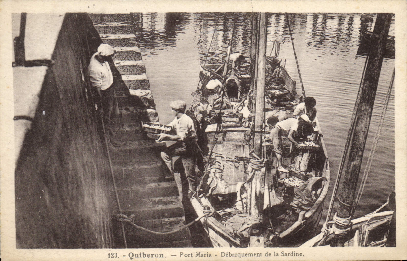 CPA Poisson Poissons Quiberon Port Maria Debarquement de la sardine Peche