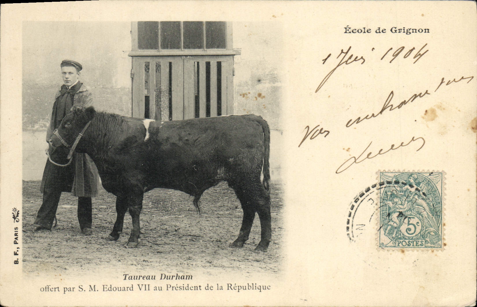 CPA Vaches Vache Genisse Durham SM Edouard VII President de la republique Ecole de Grignon