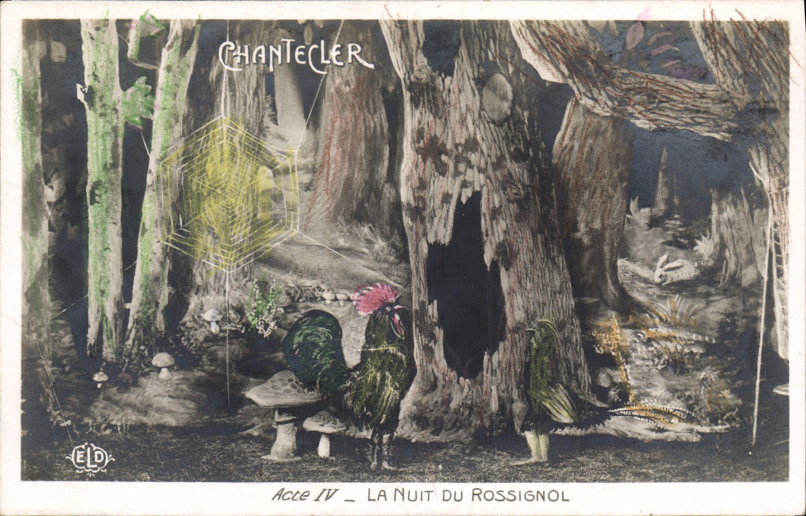 VINTAGE POSTCARD Theater Edmond Rostand Chantecler the night of the Nightingale