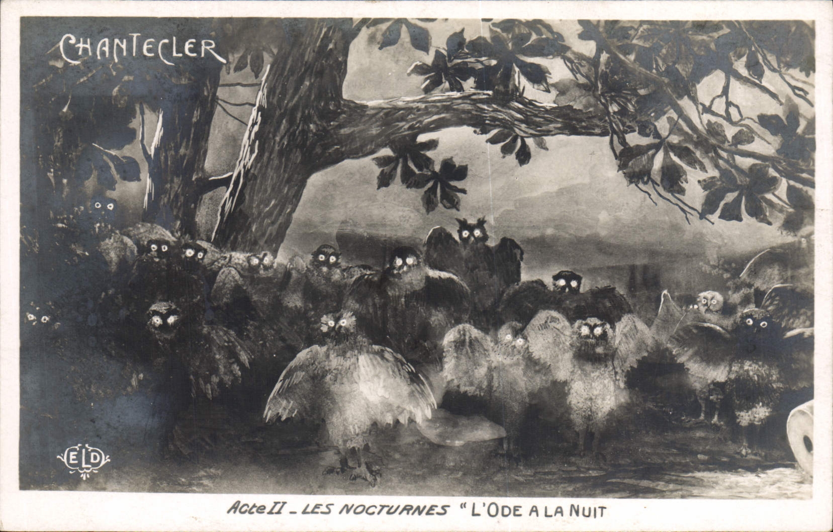 CPA Theatre Edmond Rostand Chantecler Les nocturnes L'ode a la nuit Chouette Hibou