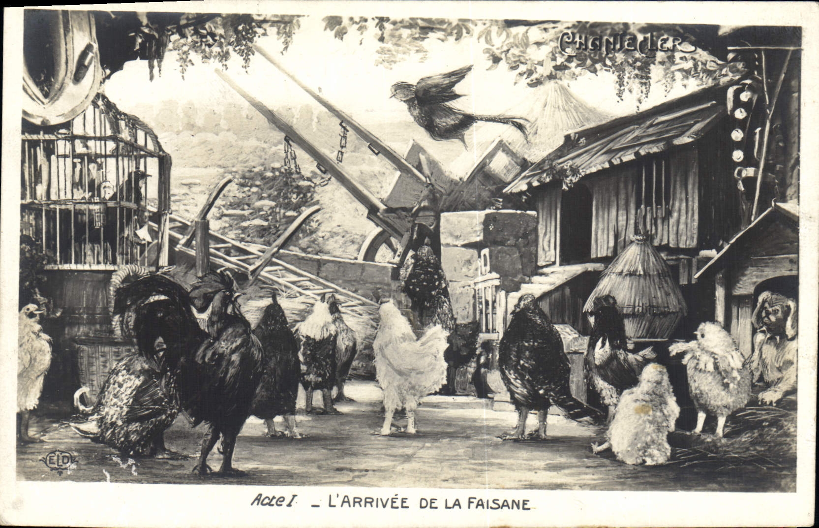 CPA Theatre Edmond Rostand Chantecler L'arrivee de la faisane