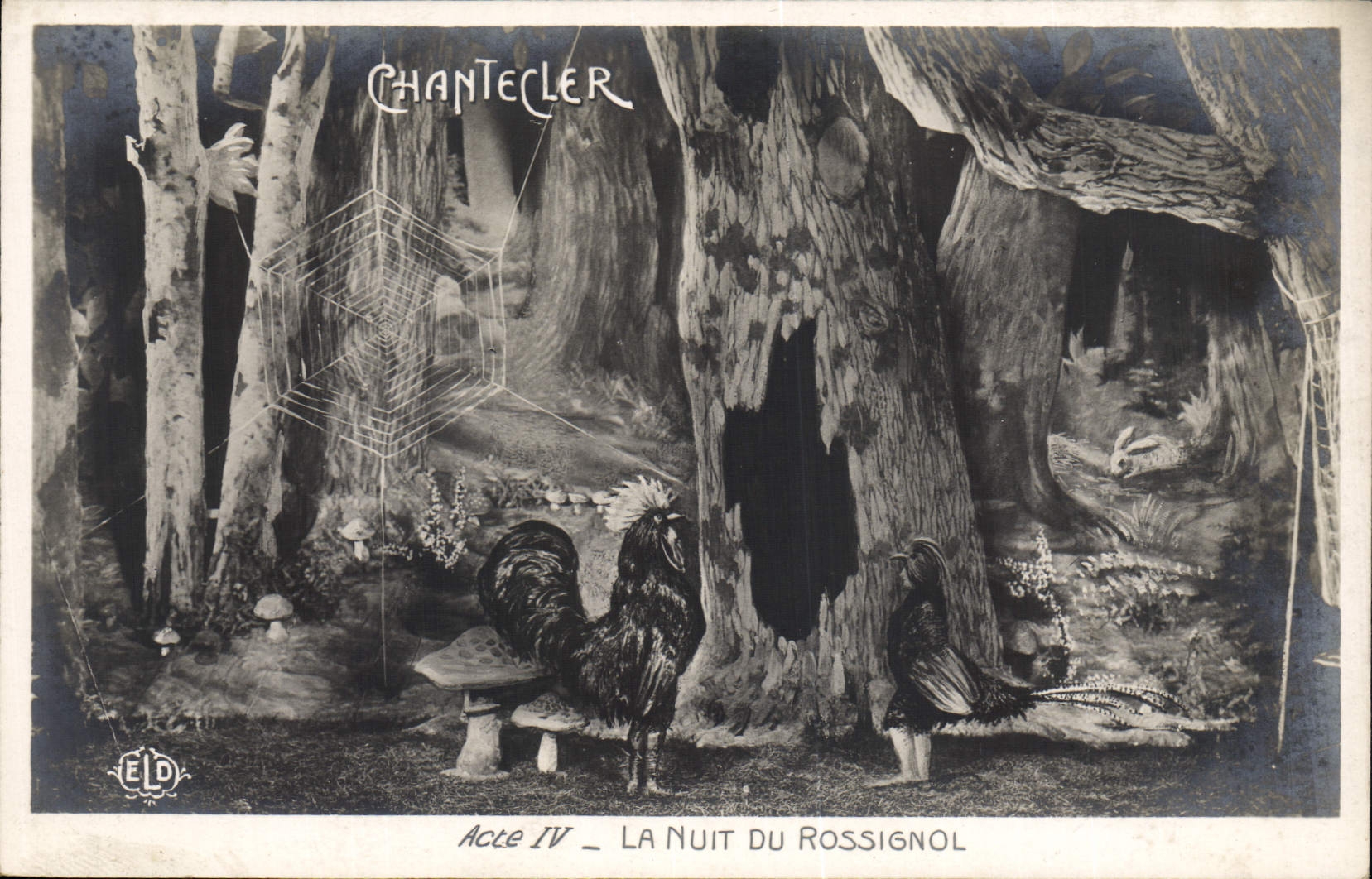 CPA Theatre Edmond Rostand Chantecler La nuit du Rossignol Champignon