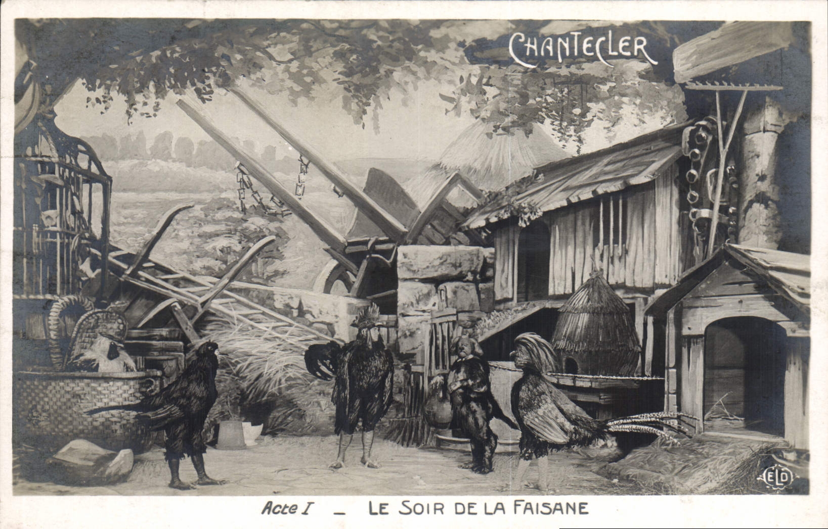 CPA Theatre Edmond Rostand Chantecler Le soir de la faisane