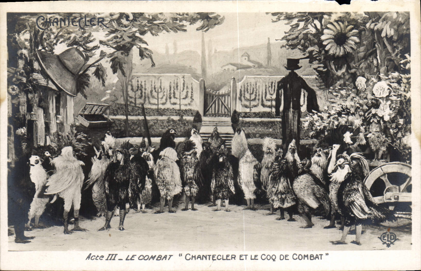 CPA Theatre Edmond Rostand Chantecler et le coq de combat