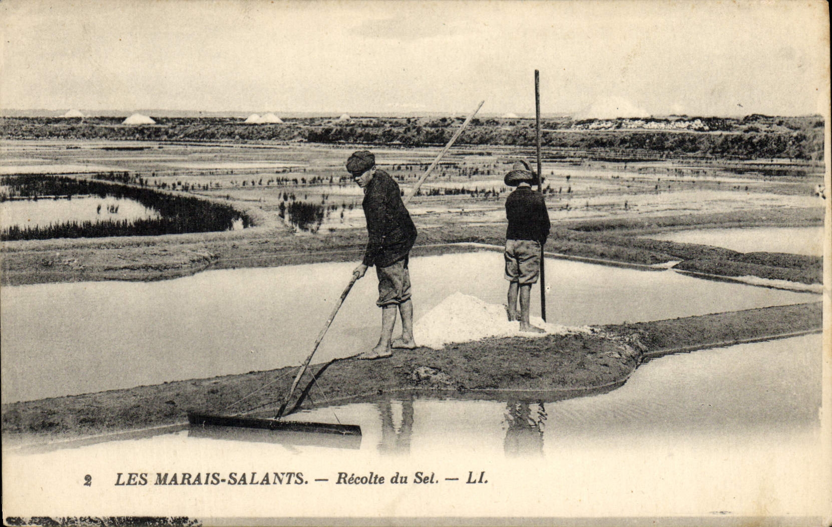 VINTAGE POSTCARD Folklore salt-water Marshes Collects salt