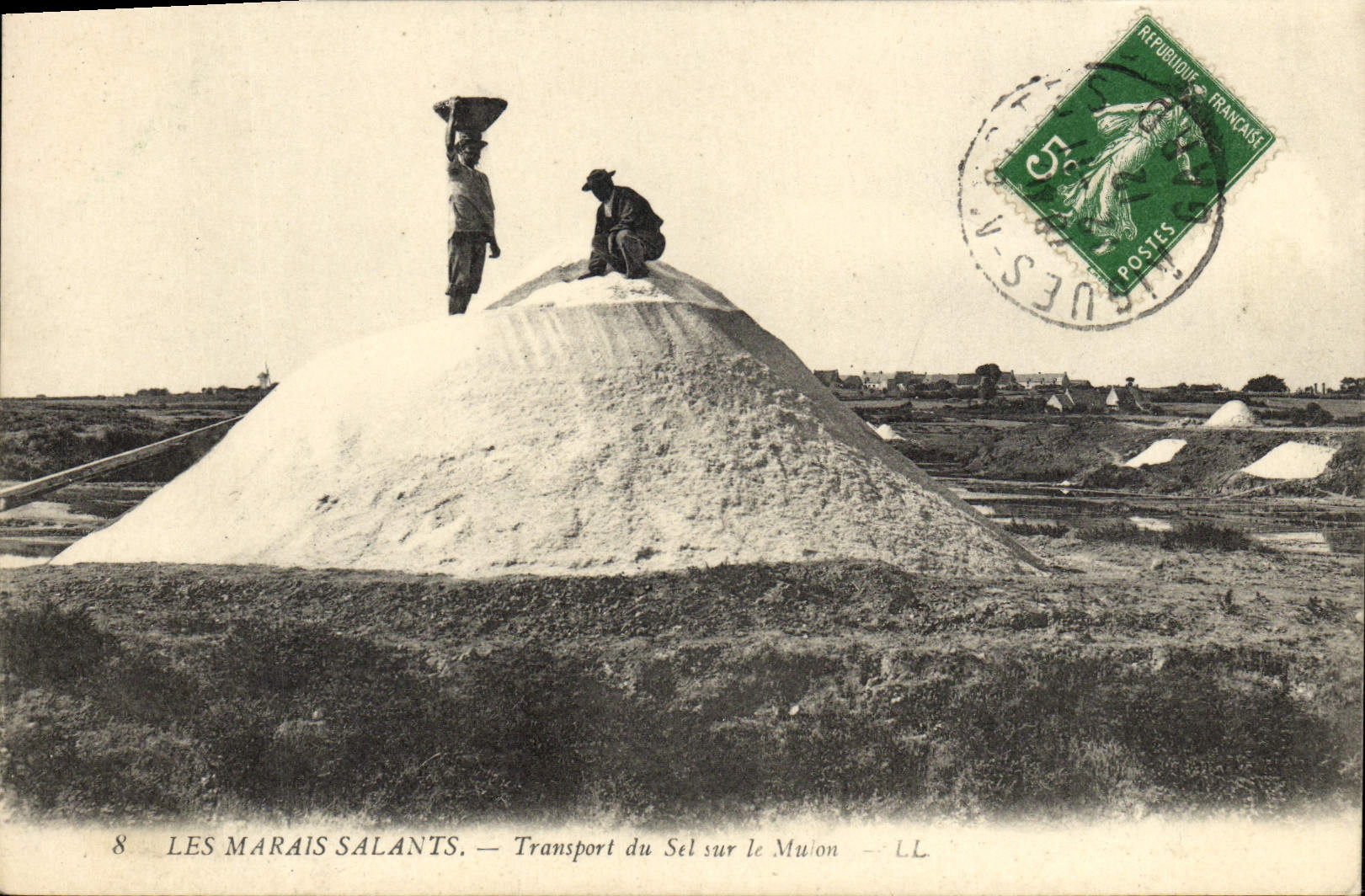 CPA Folklore Marais salants Transport du sel sur le Mulon 