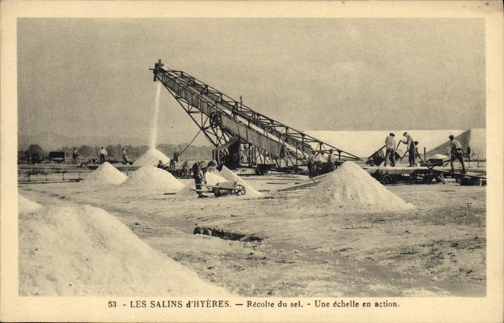 CPA Folklore Marais salants Les Salins d'Hyeres Recolte de sel Une echelle en action
