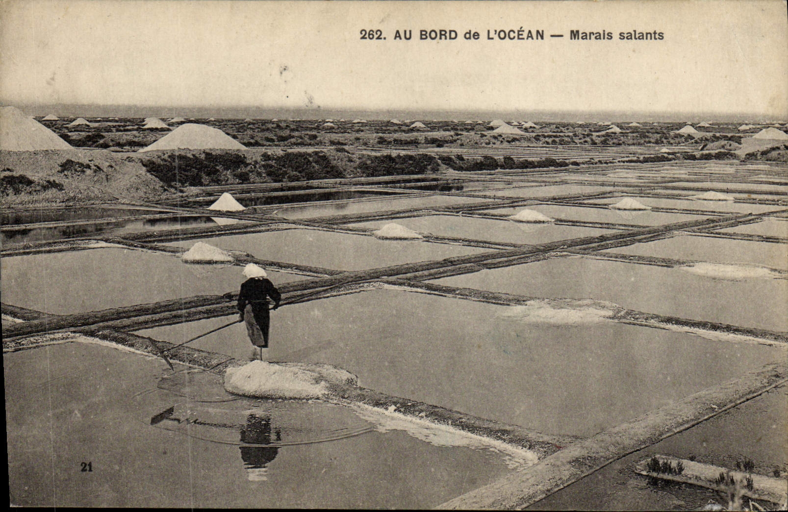 VINTAGE POSTCARD Folklore salt-water Marshes At the edge of the ocean