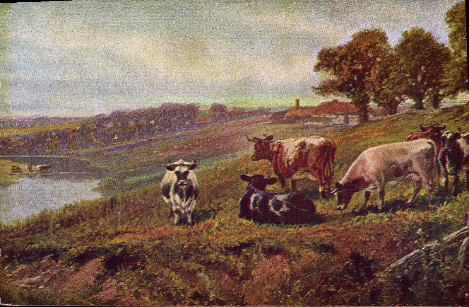 CPA Vache Vaches 
