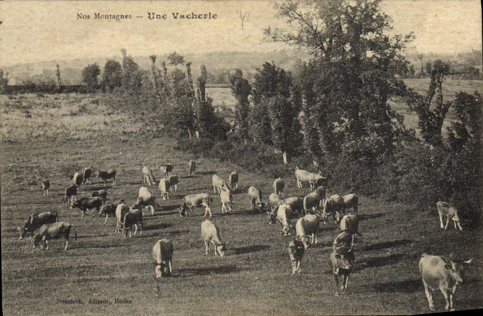 CPA Vache Vaches Une vacherie 