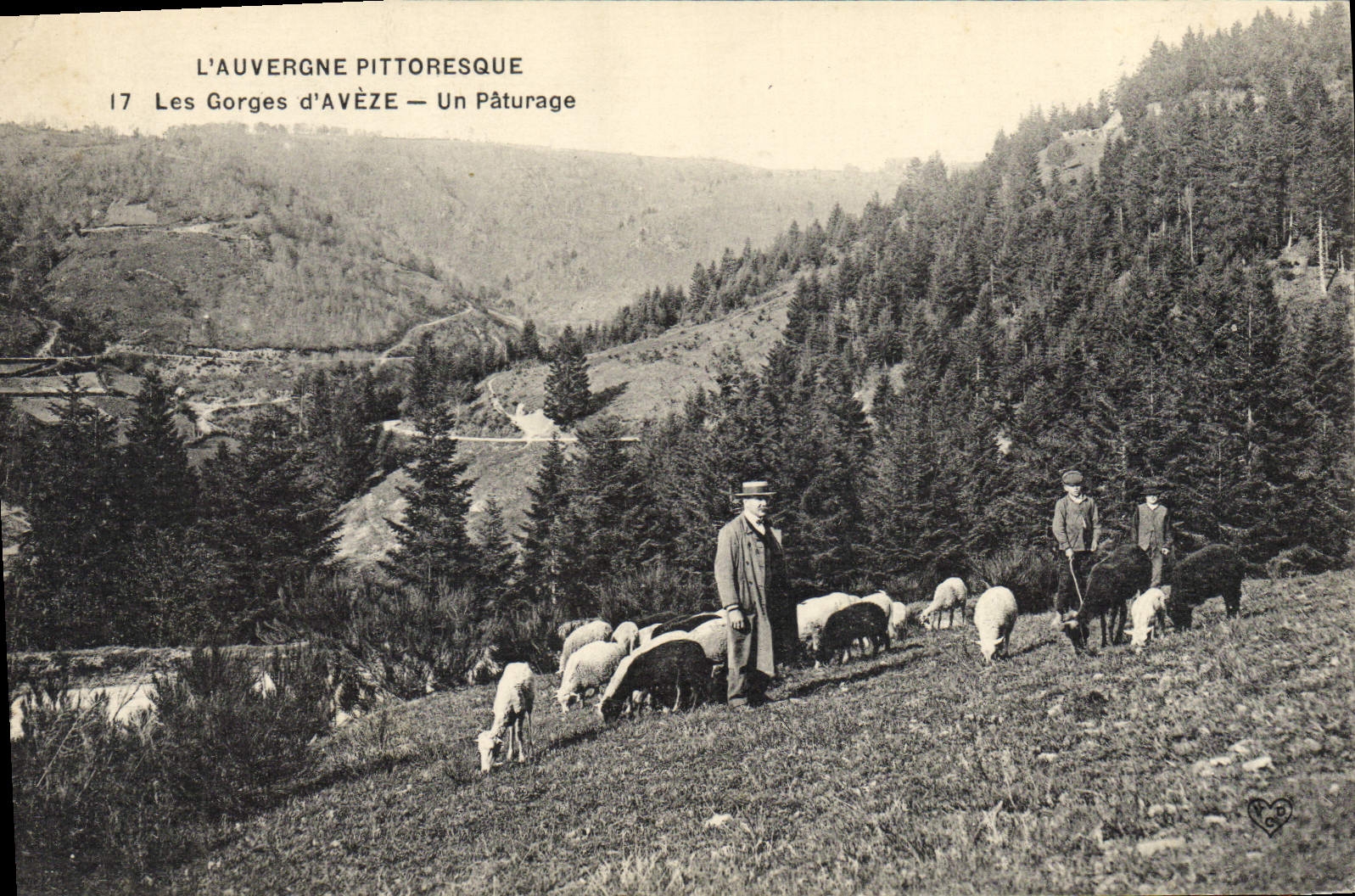 CPA Vache Vaches Les gorges d'Aveze Un paturage