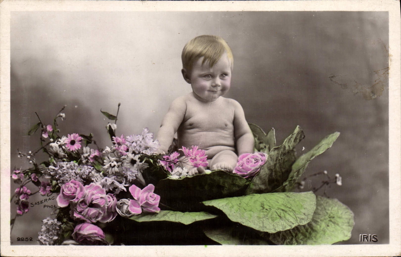 VINTAGE POSTCARD Fantasy Baby Child Iris