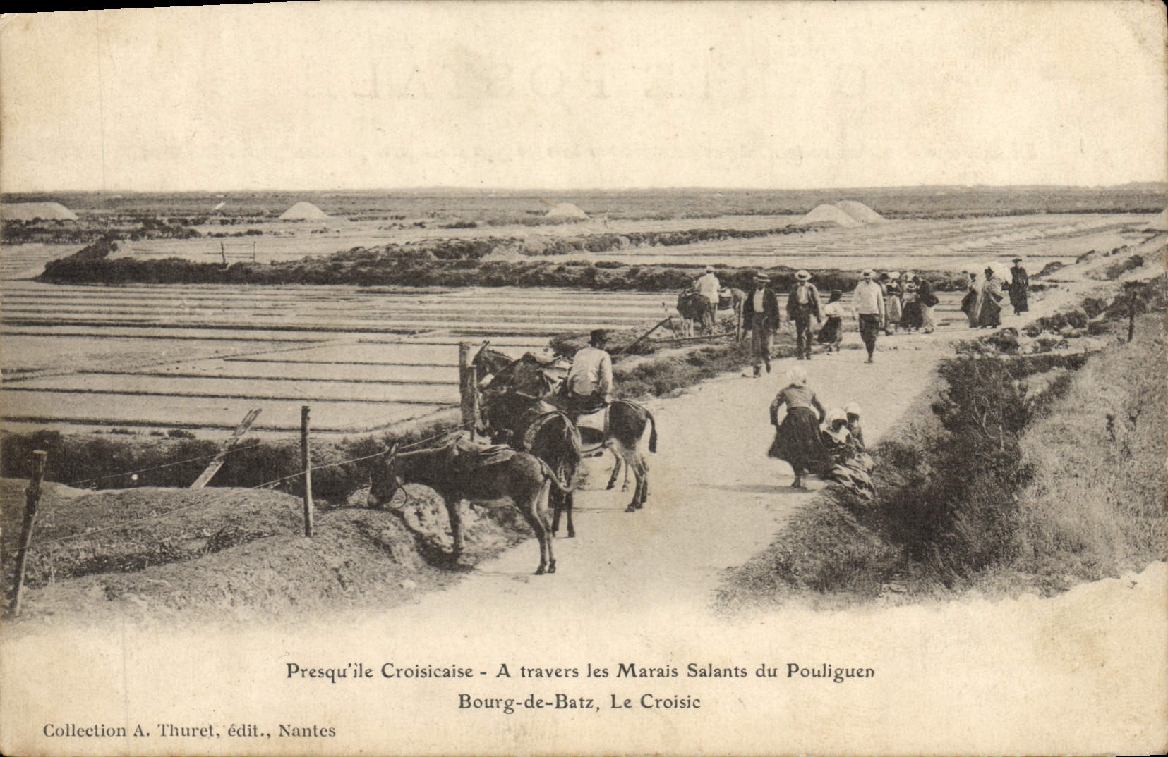 Península de Croisicaise de los pantanos del agua salada del folklore de la POSTAL de la VENDIMIA a través de los pantanos del agua salada de la ciudad de Pouliguen de Batz Croisic