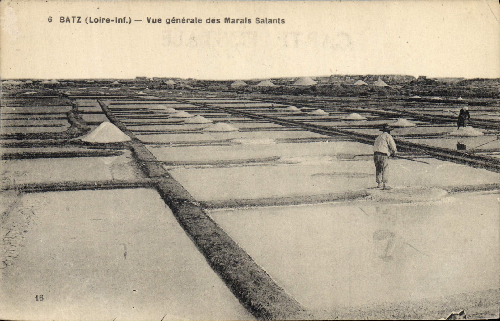 VINTAGE POSTCARD Batz Folklore View of the Salt-water Marshes