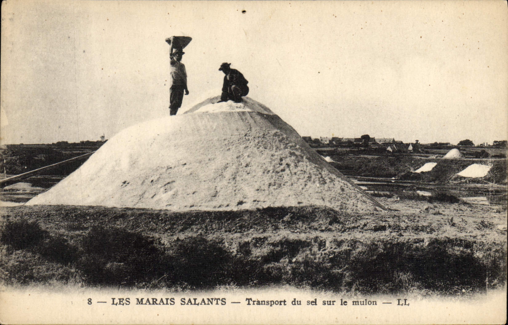Transporte de los pantanos del agua salada del folklore de la POSTAL de la VENDIMIA de la sal en el mulon