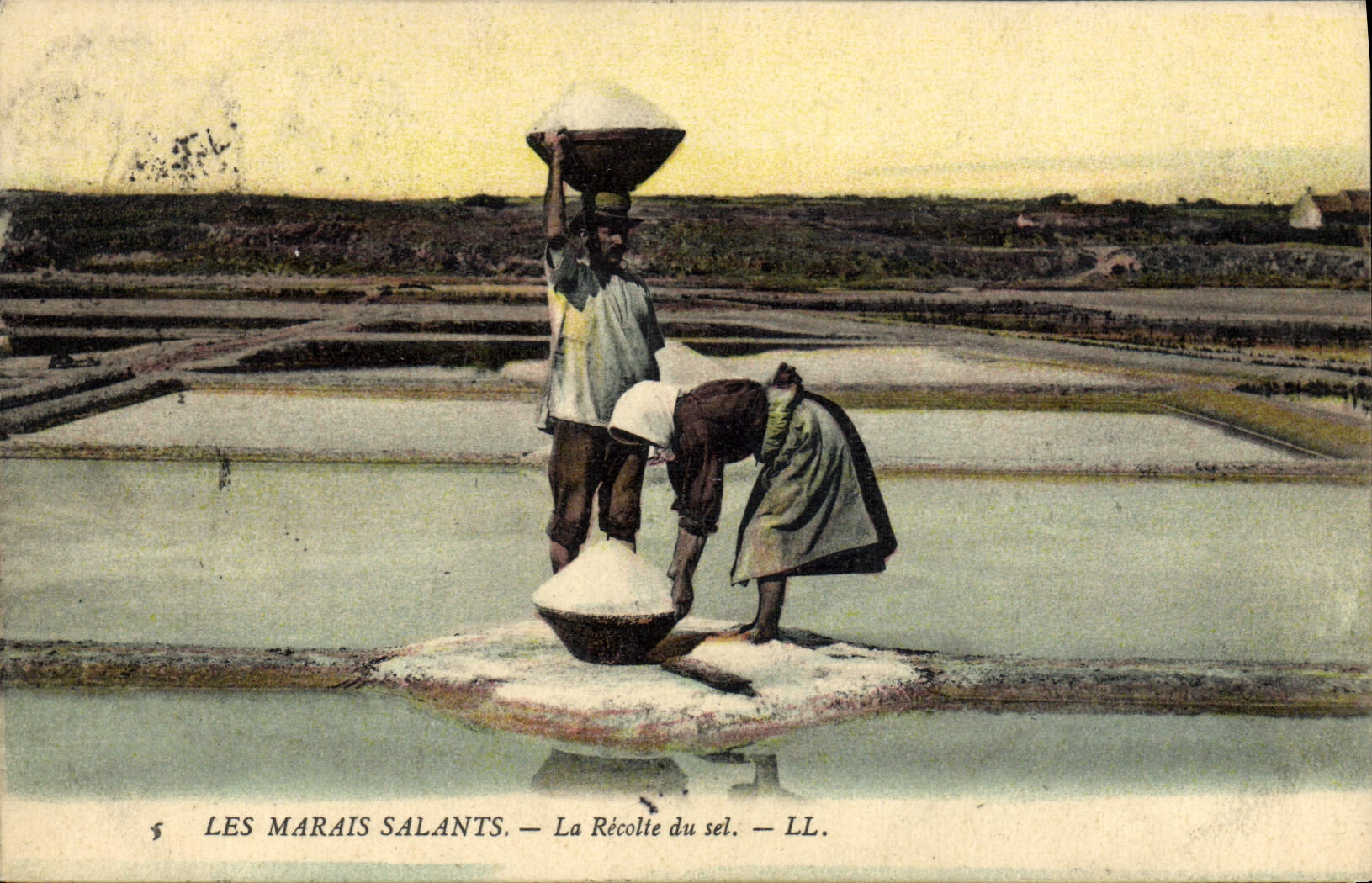 CPA Folklore Marais Salants La recolte du sel