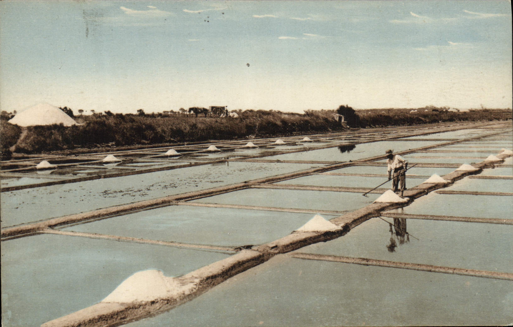 VINTAGE POSTCARD Folklore Salt-water Marshes Island of Noirnmoutier
