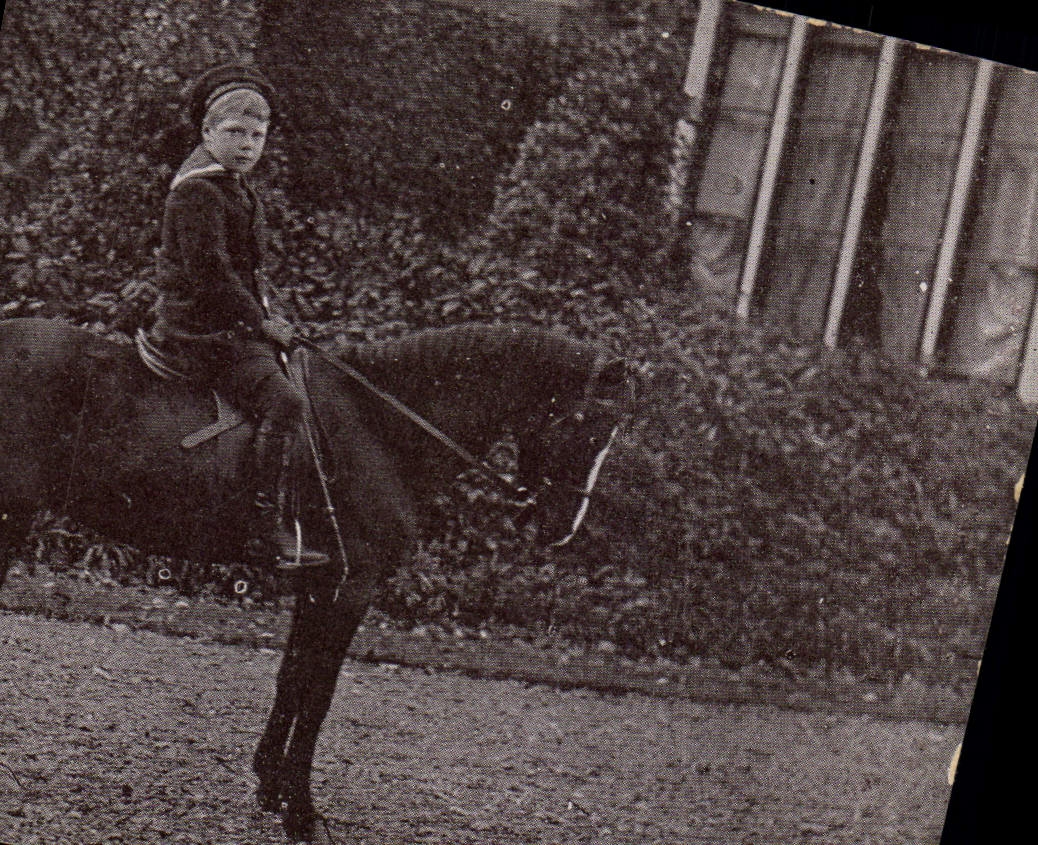 VINTAGE POSTCARD future HRH Prince Edward off Wales our sovereign