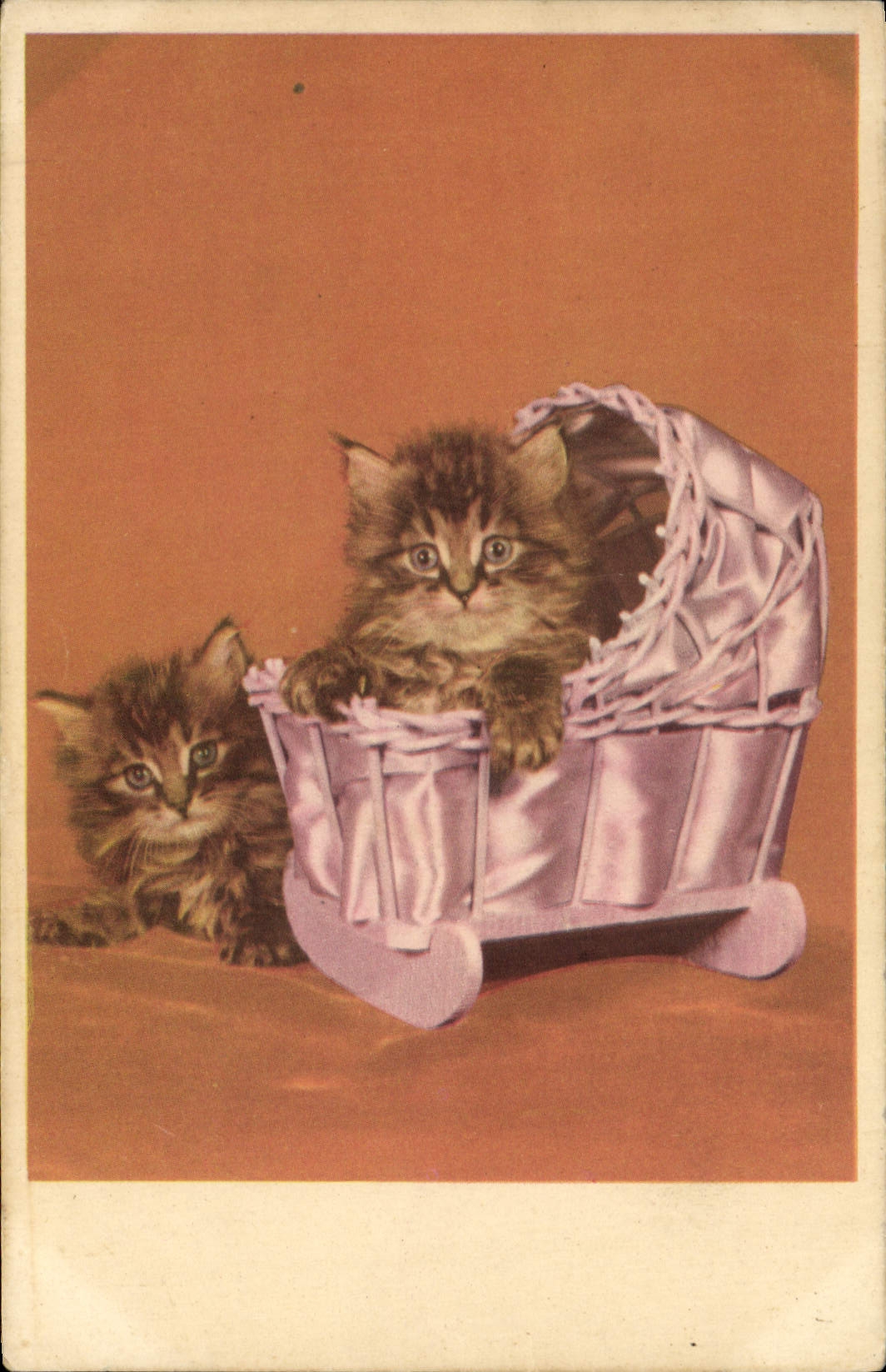 CPA Chat Chaton Chats 
