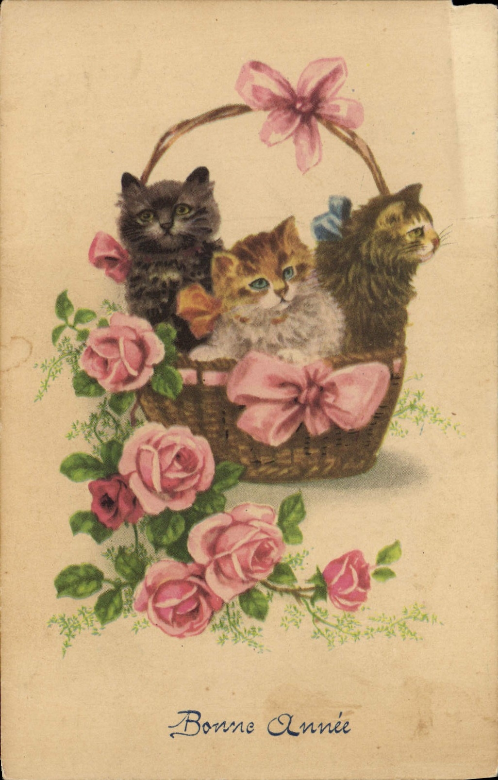 CPA Chat Chaton Chats 