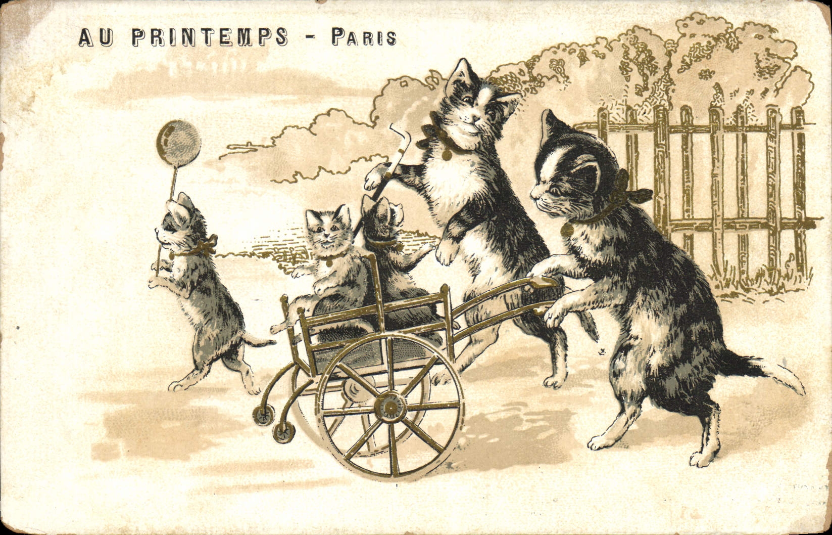 VINTAGE POSTCARD Cat Kitten Cats In Paris Spring