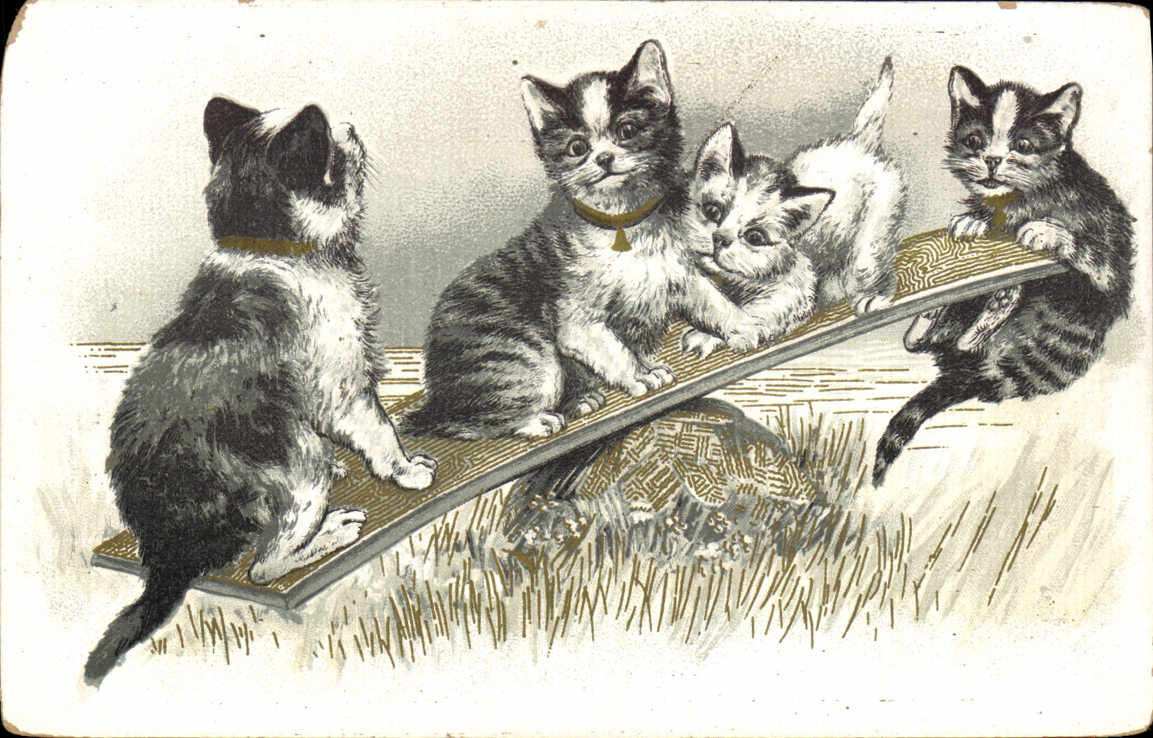 CPA Chat Chaton Chats 