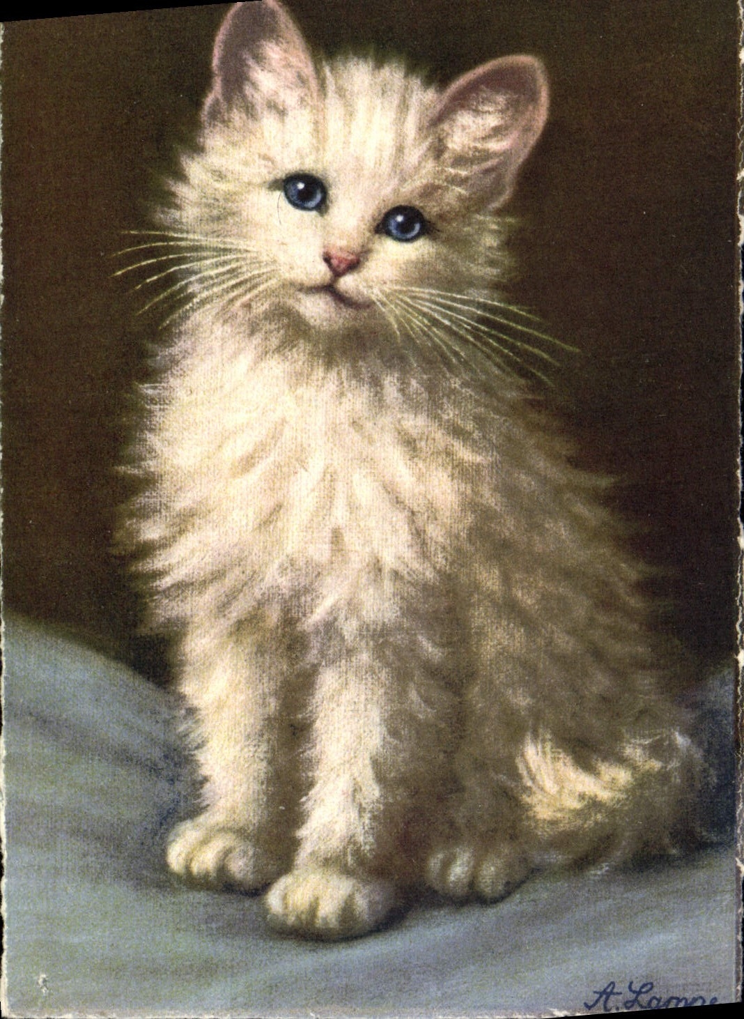 CPA Chat Chaton Chats 