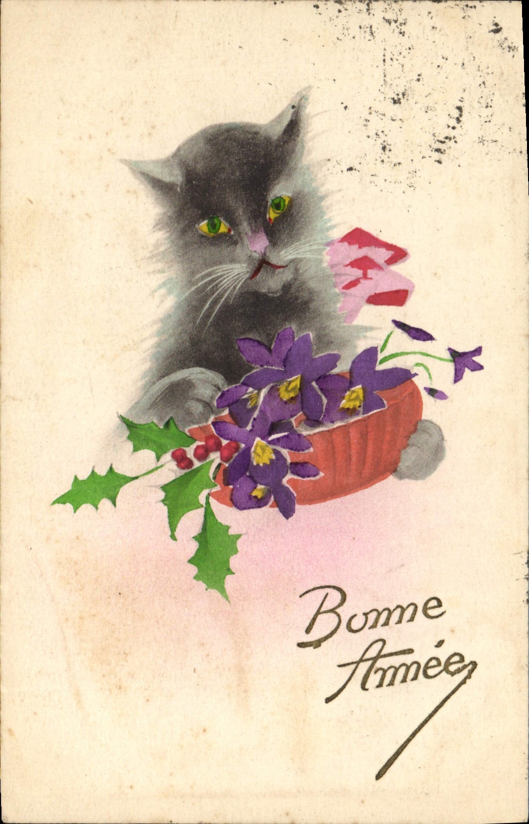 CPA Chat Chaton Chats 