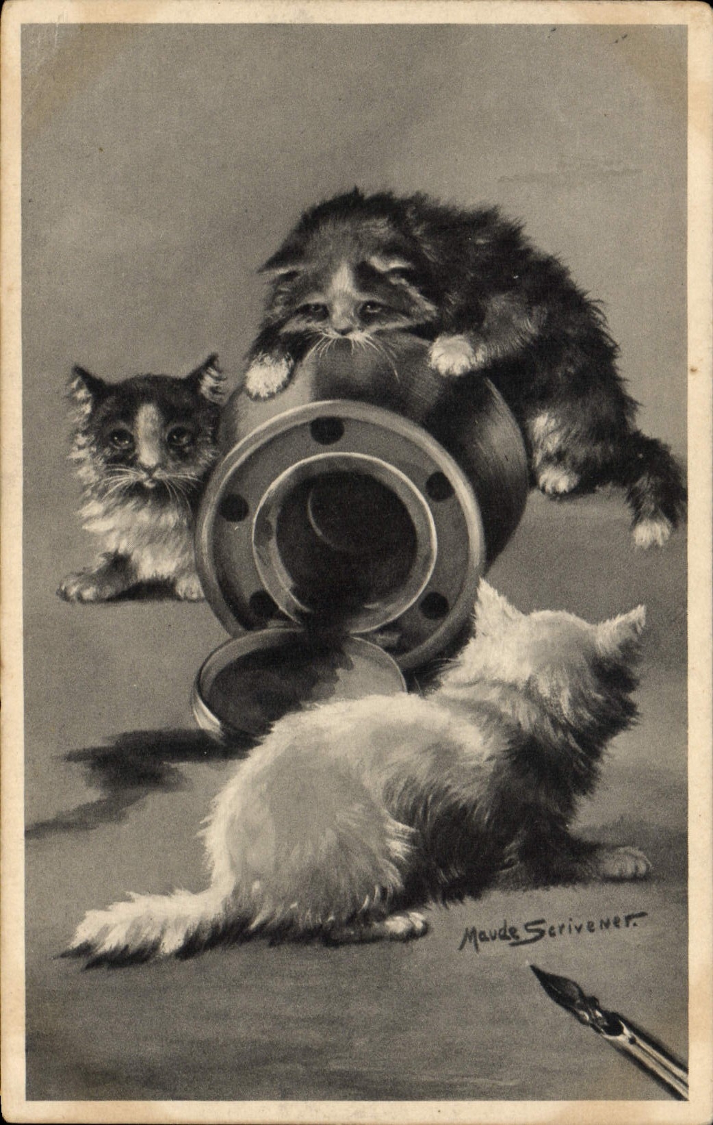 CPA Chat Chaton Chats 