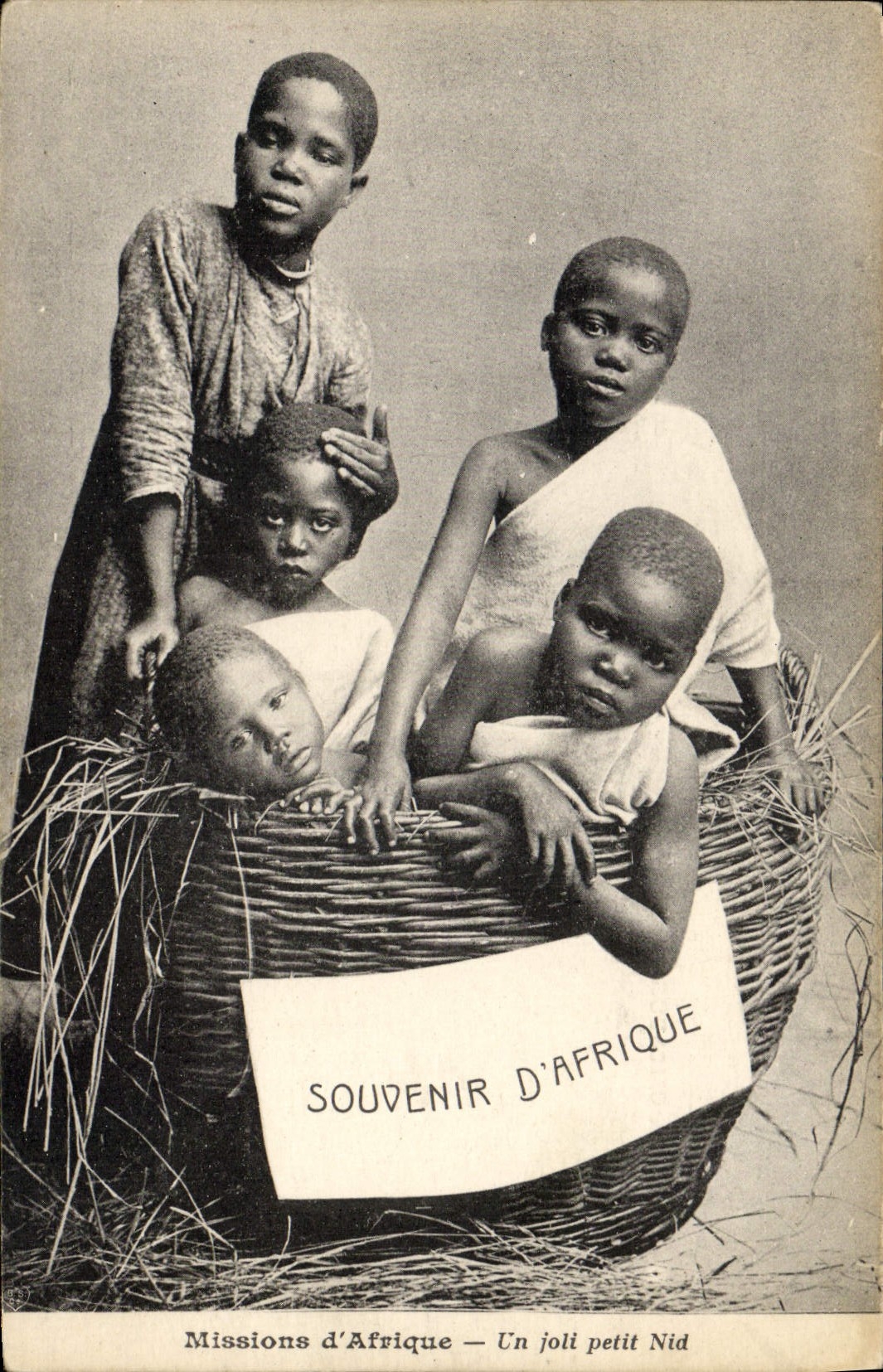 VINTAGE POSTCARD Missions of Africa a pretty small nest