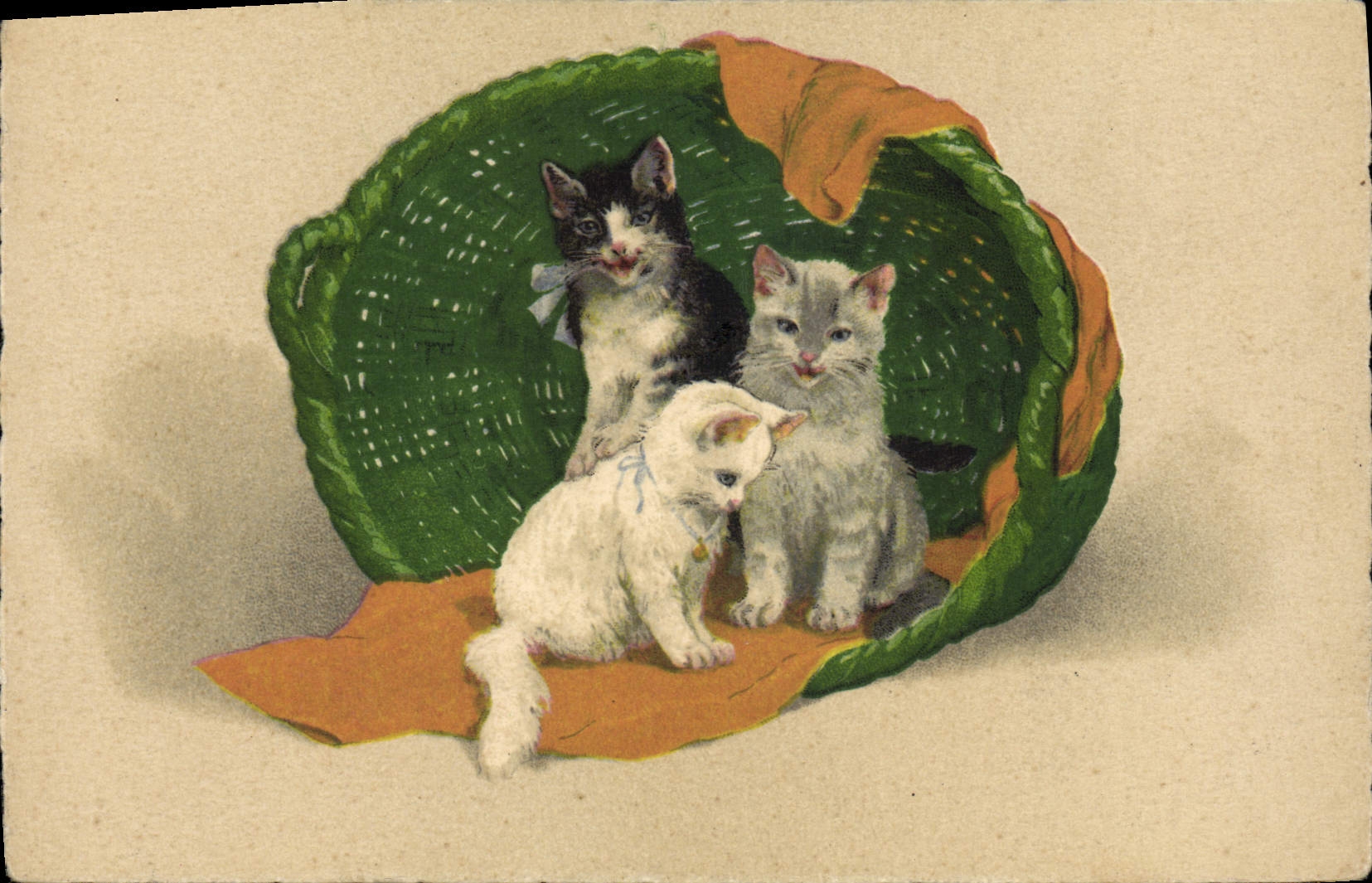CPA Chat Chats Chaton 