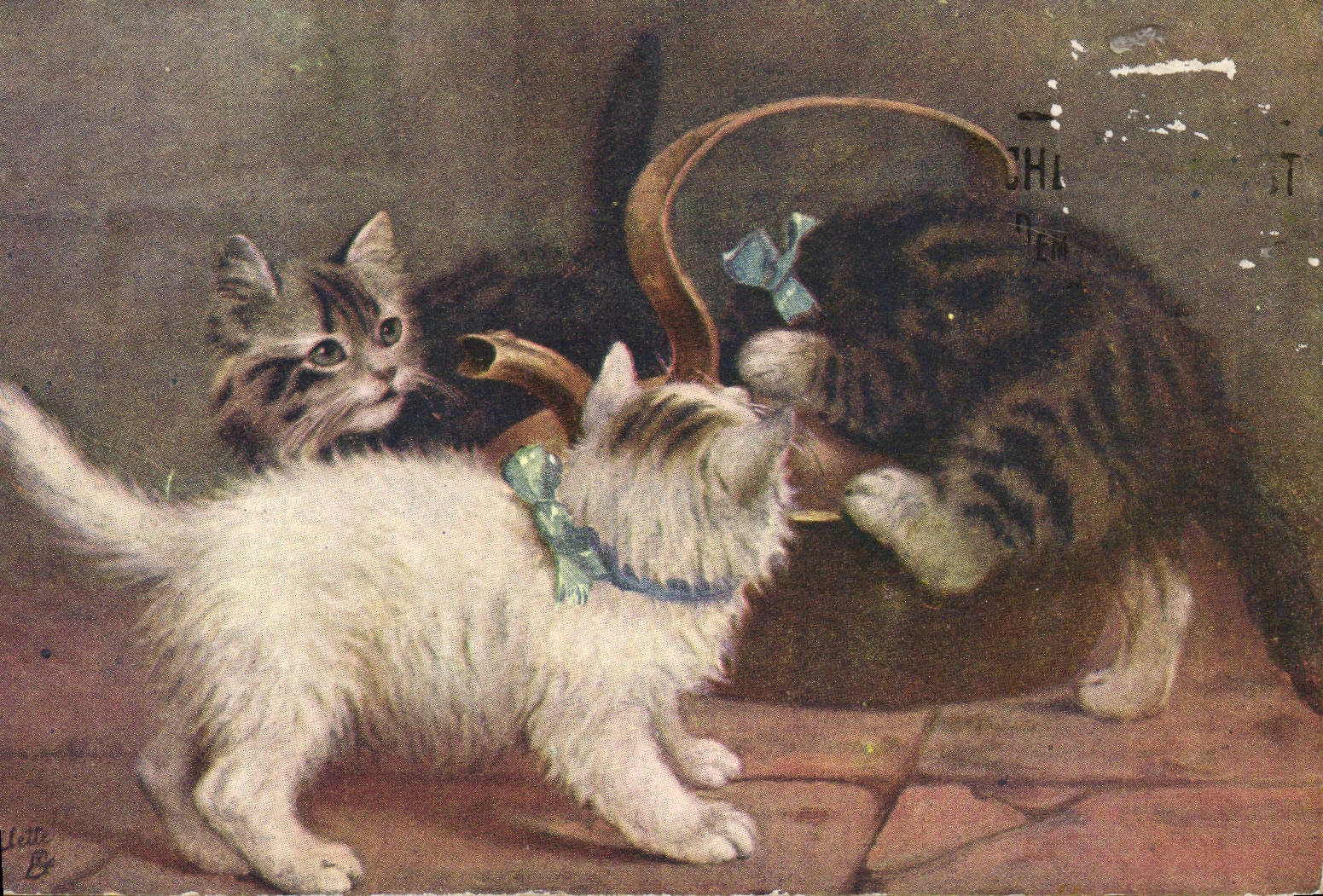 CPA Chat Chats Chaton 