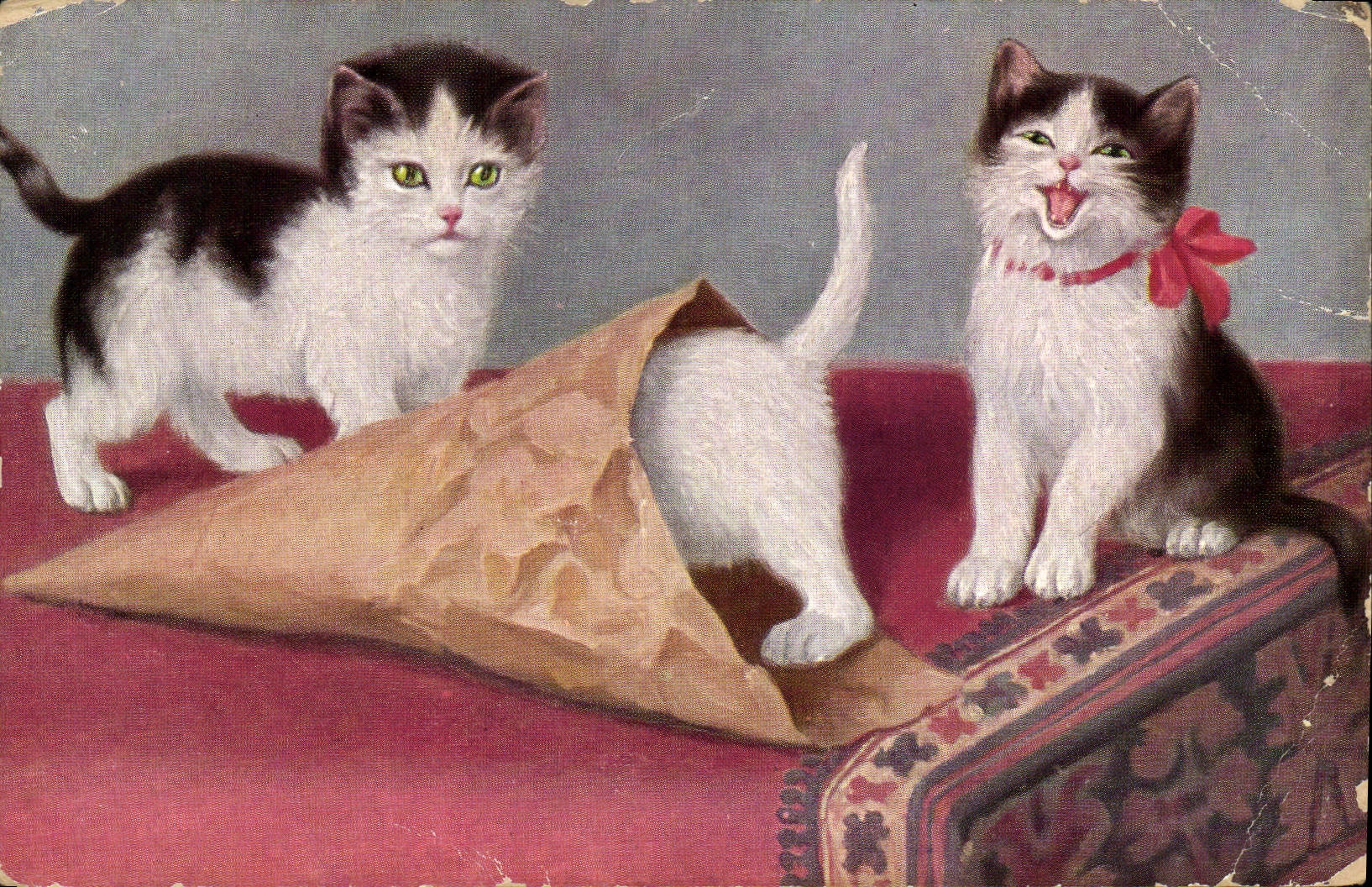 CPA Chat Chats Chaton