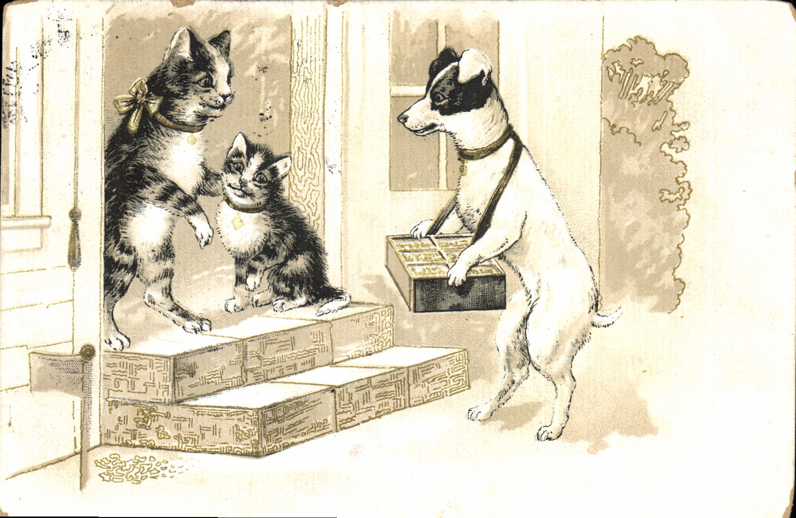 CPA Chat Chats Chaton Chien