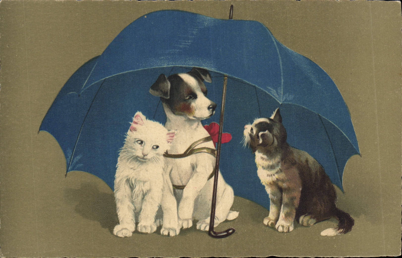 CPA Chat Chats Chaton Chien Parapluie