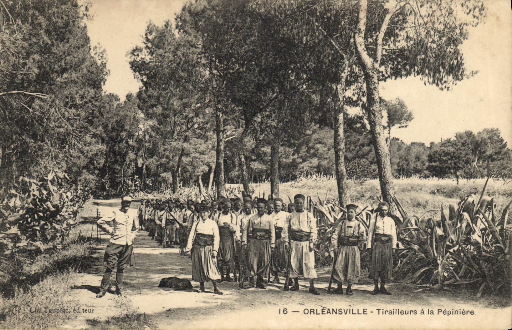 VINTAGE POSTCARD Militaria Orleansville Riflemen with the Seedbed
