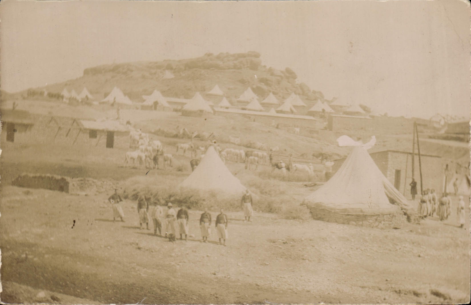 CARTE PHOTO Maroc Militaria 