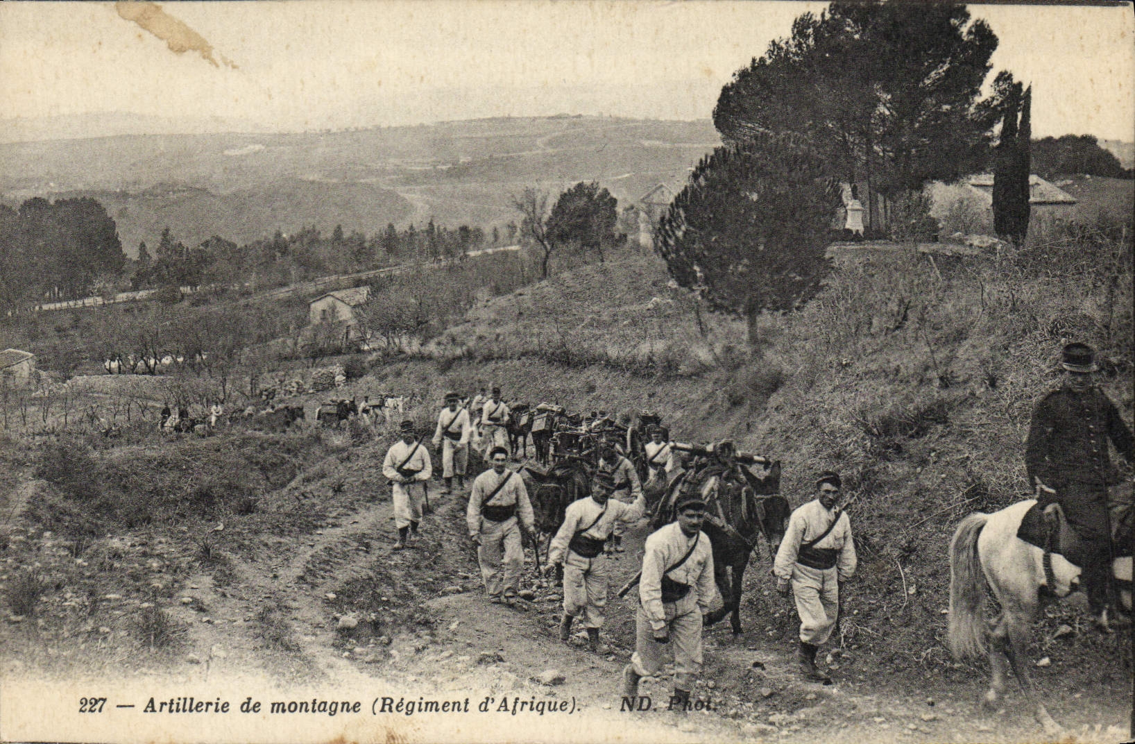 VINTAGE POSTCARD Militaria Artillery of mountain Regiment of Africa