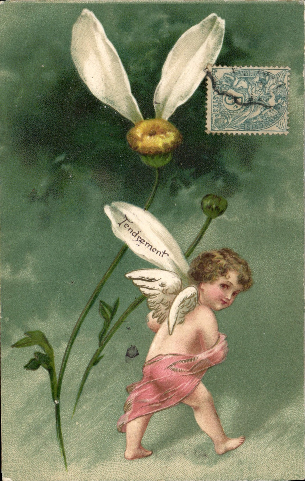 CPA Ange Fleur Tendrement