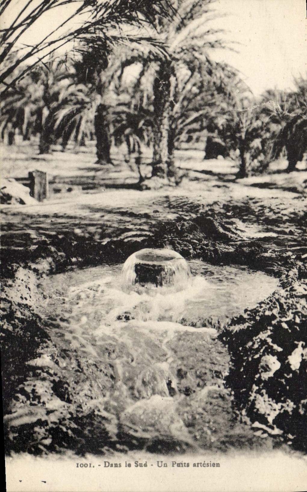 VINTAGE POSTCARD In Known artesian well