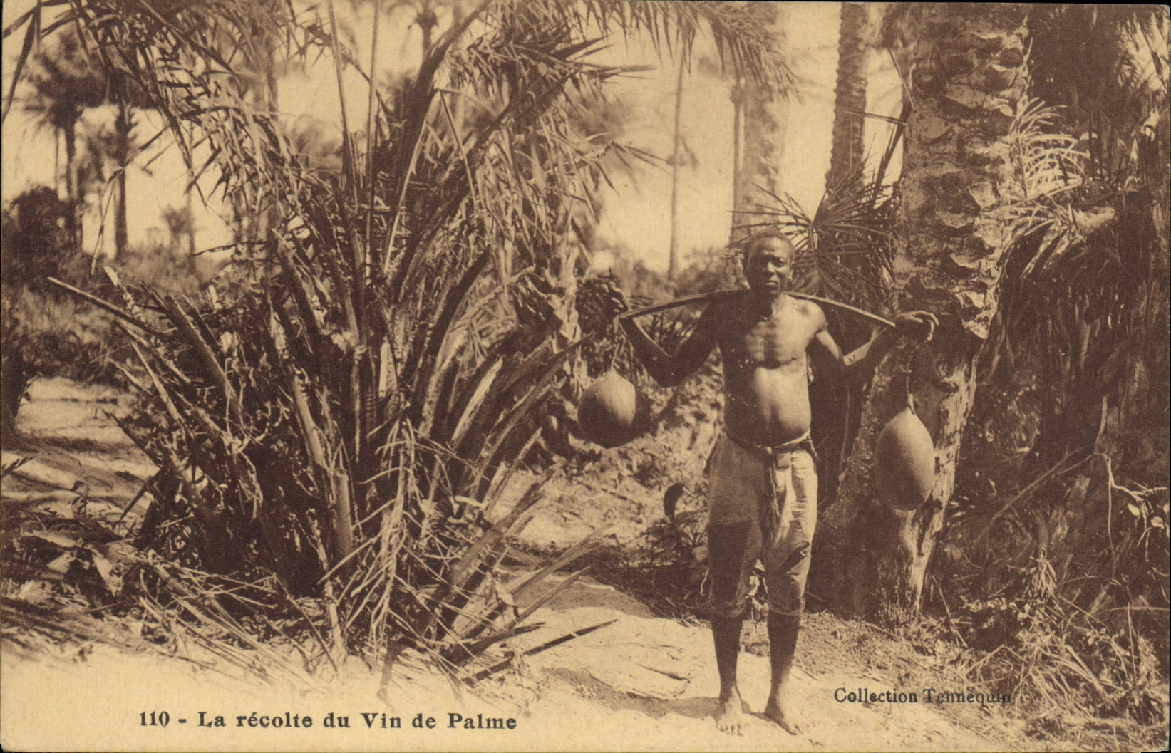 VINTAGE POSTCARD Negro black Man the harvest of the palm wine